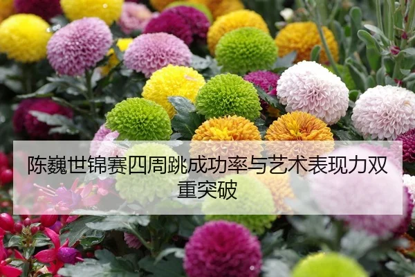 chen-wei-shi-jin-sai-si-zhou-tiao-cheng-gong-lv-yu-yi-shu-biao-xian-li-shuang-chong-tu-po-2-885.jpg