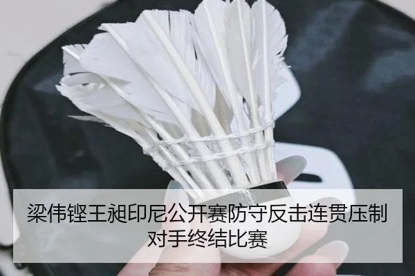 liang-wei-keng-wang-chang-yin-ni-gong-kai-sai-fang-shou-fan-ji-lian-guan-ya-zhi-dui-shou-zhong-jie-bi-sai-2-189.jpg