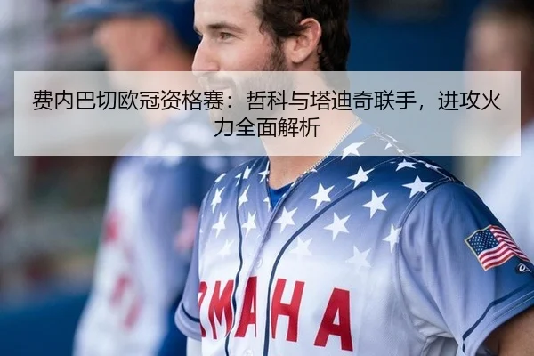 费内巴切欧冠资格赛：哲科与塔迪奇联手，进攻火力全面解析