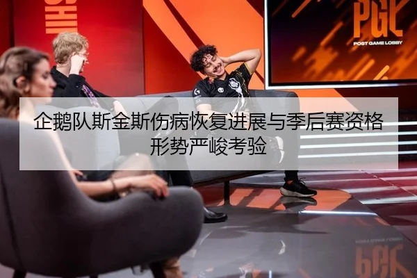 企鹅队斯金斯伤病恢复进展与季后赛资格形势严峻考验