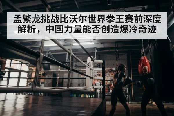 boxer training