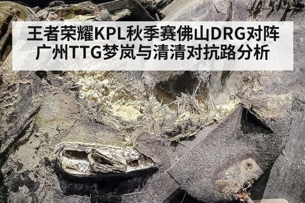 王者荣耀KPL秋季赛佛山DRG对阵广州TTG梦岚与清清对抗路分析